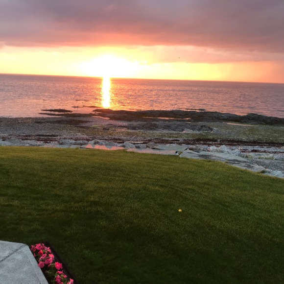 Meet your Posher, Madone - Picture 1 of 1